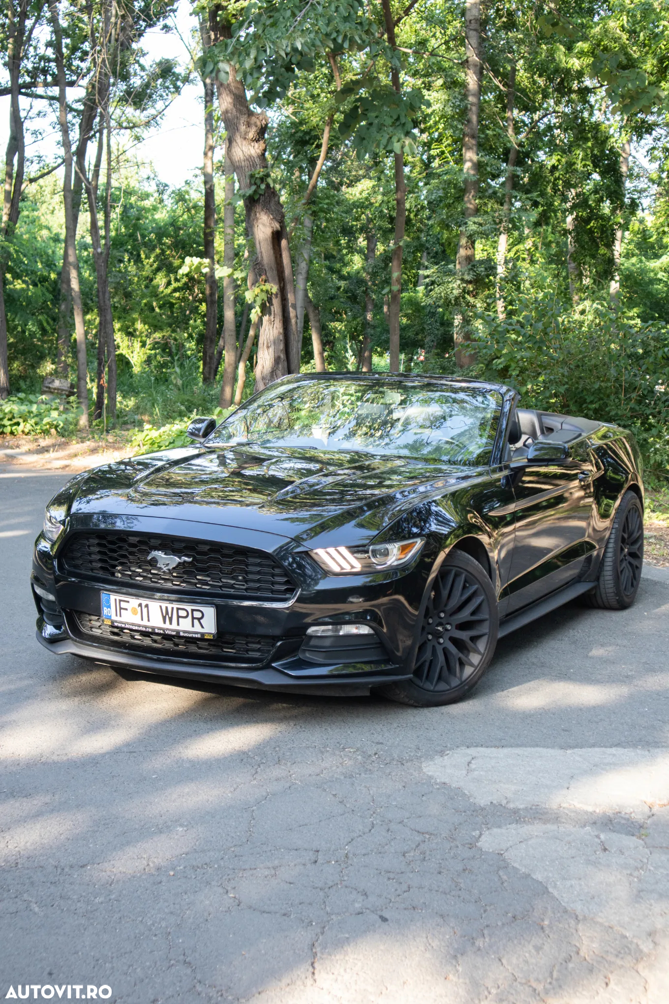 Ford Mustang Cabrio 2.3 Eco Boost - 9