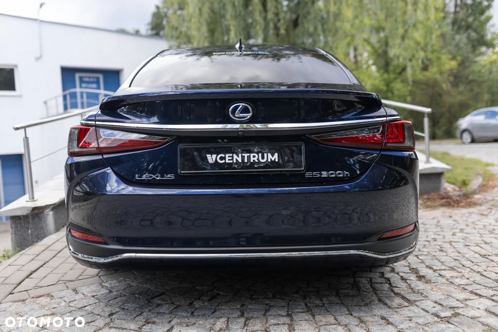 Lexus ES 300h Omotenashi - 10