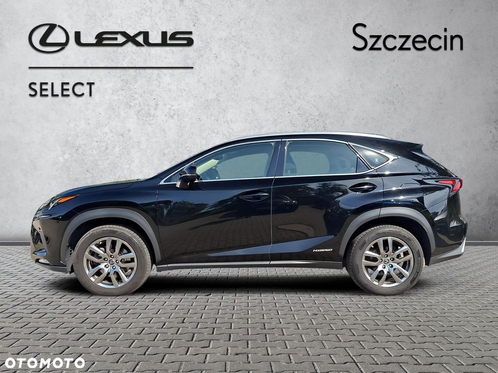 Lexus NX 300h Business Edition AWD - 2