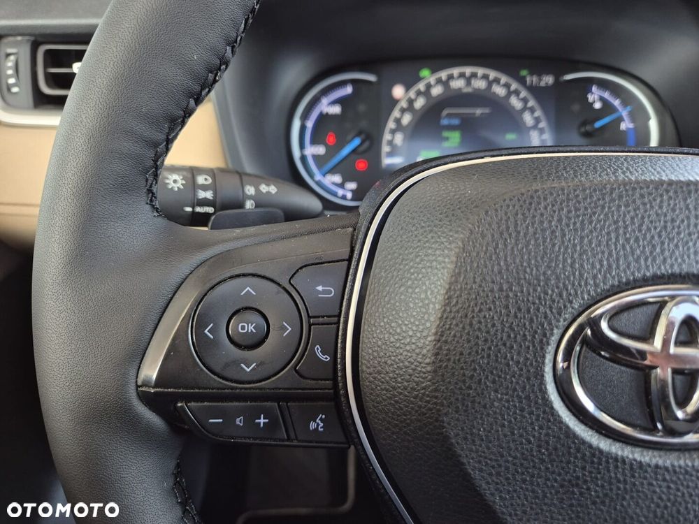 Toyota RAV4 2.5 Hybrid Executive 4x4 - 19