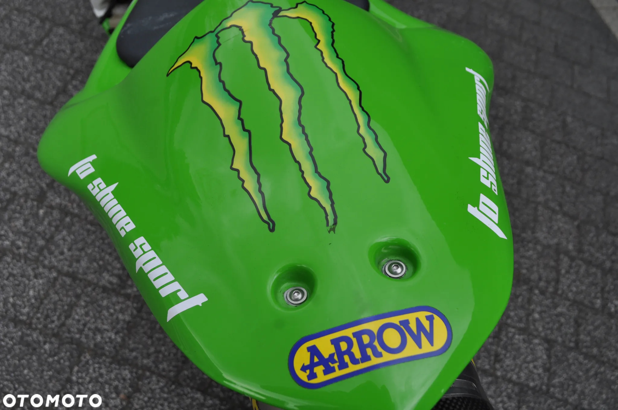 Kawasaki ZXR - 18