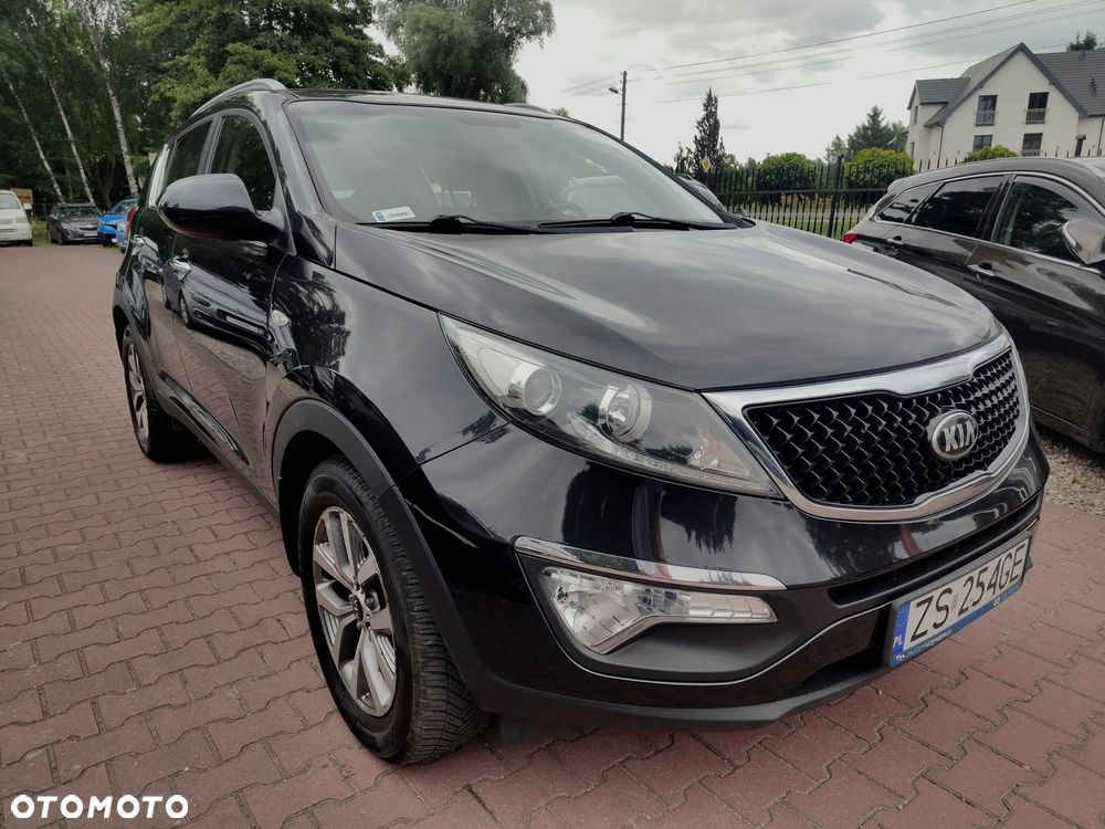 Kia Sportage - 3