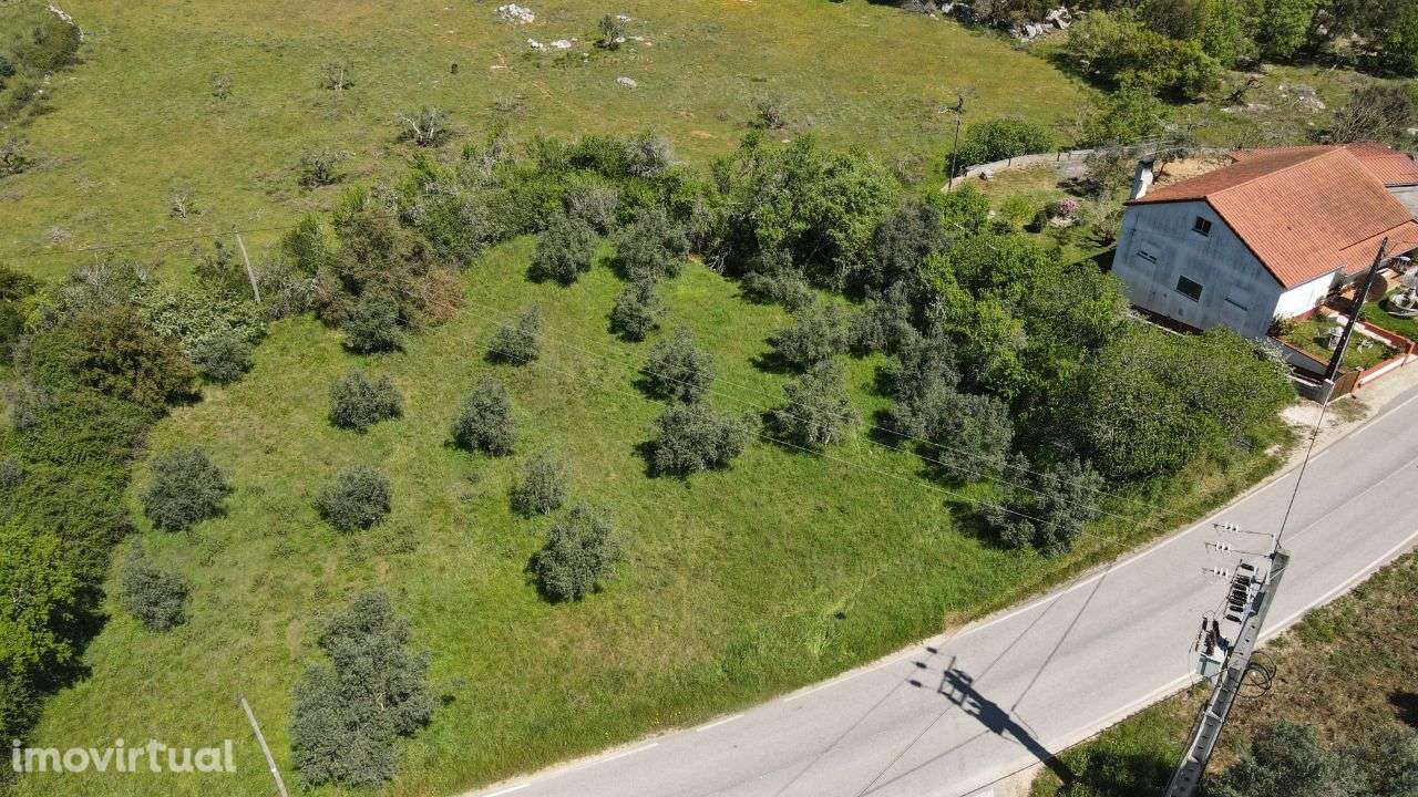 Terreno Rústico localizado em Abiul, Pombal, Leiria - Grande imagem: 2/19