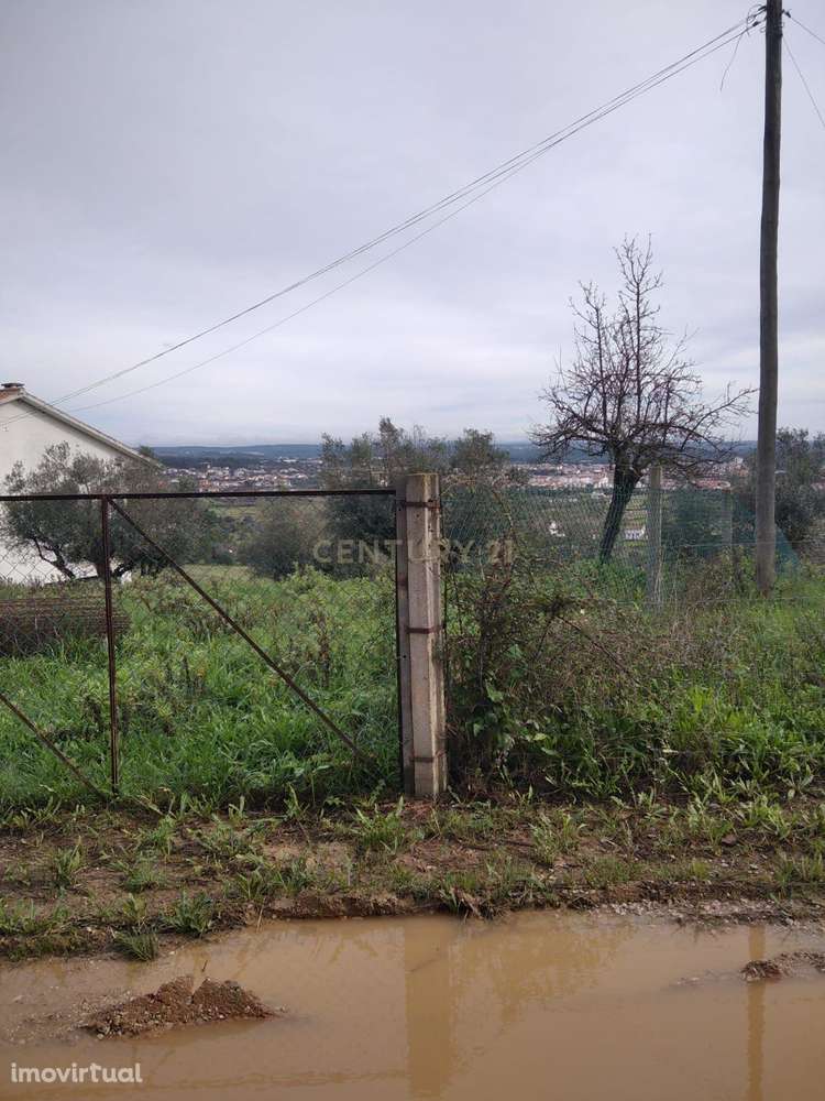 Terreno urbano c/ 5100m2 | Abrantes. - Grande imagem: 4/7