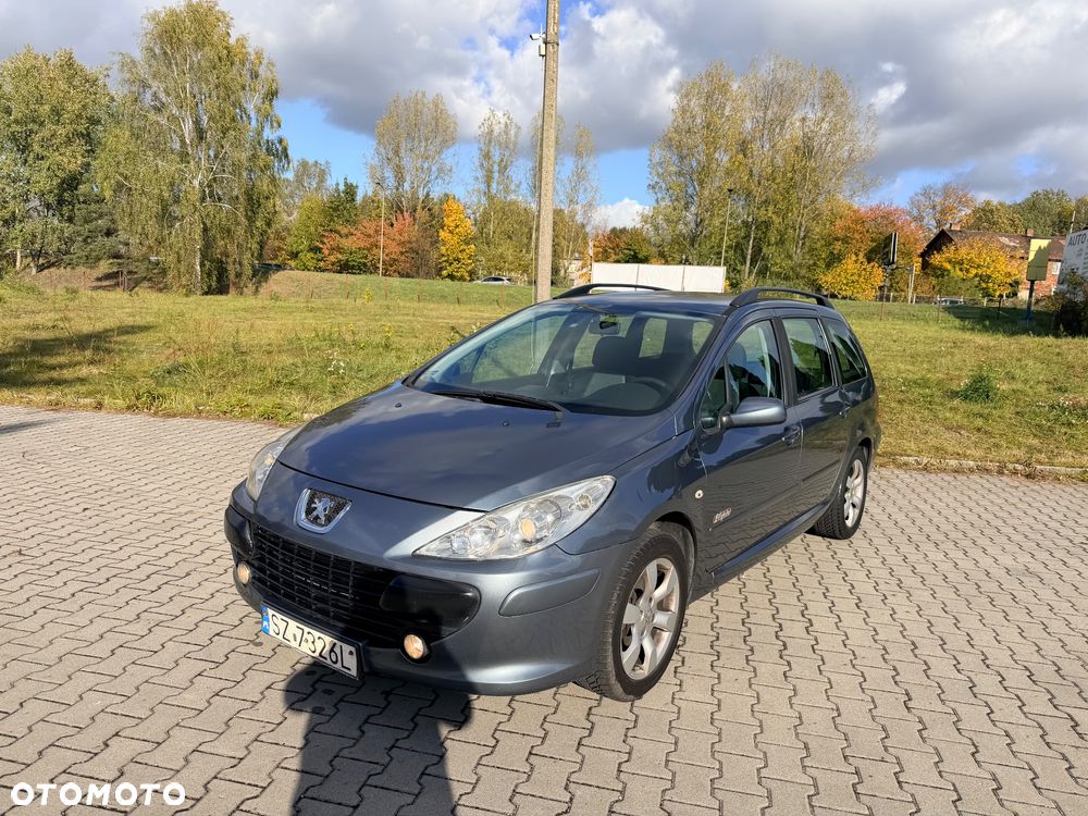 Peugeot 307 2007 photo 3