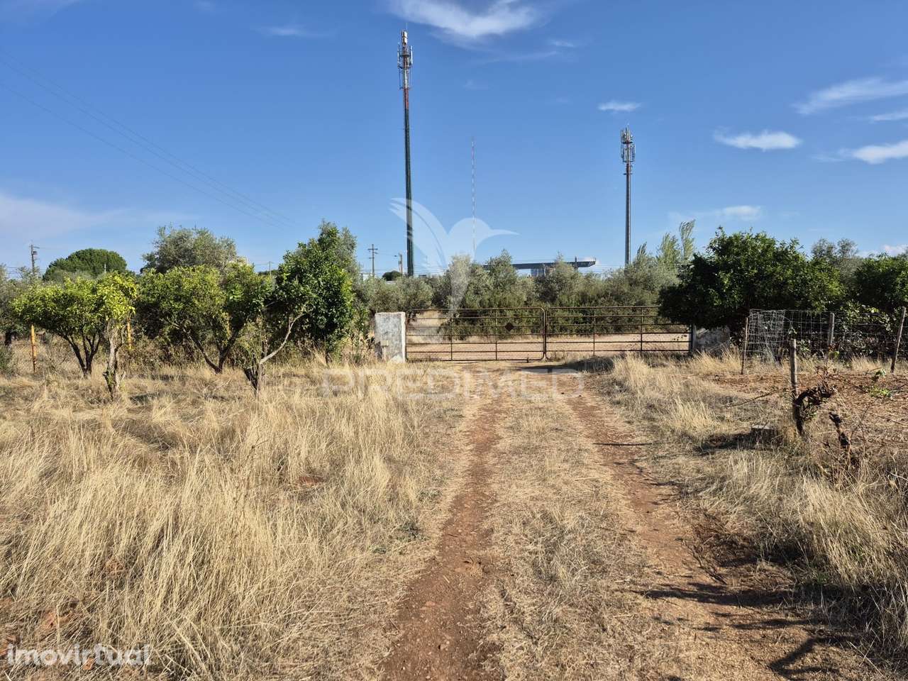 Terreno Rustico - Grande imagem: 4/39