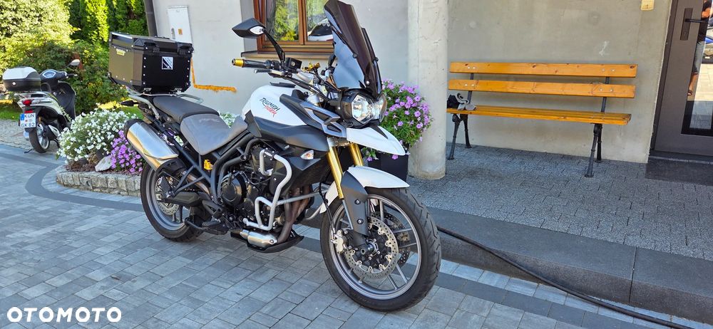 Triumph Tiger - 2