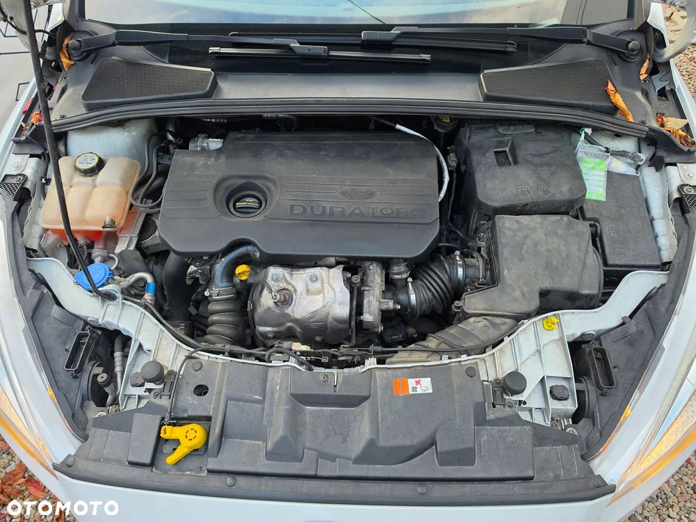 Ford Focus - 13