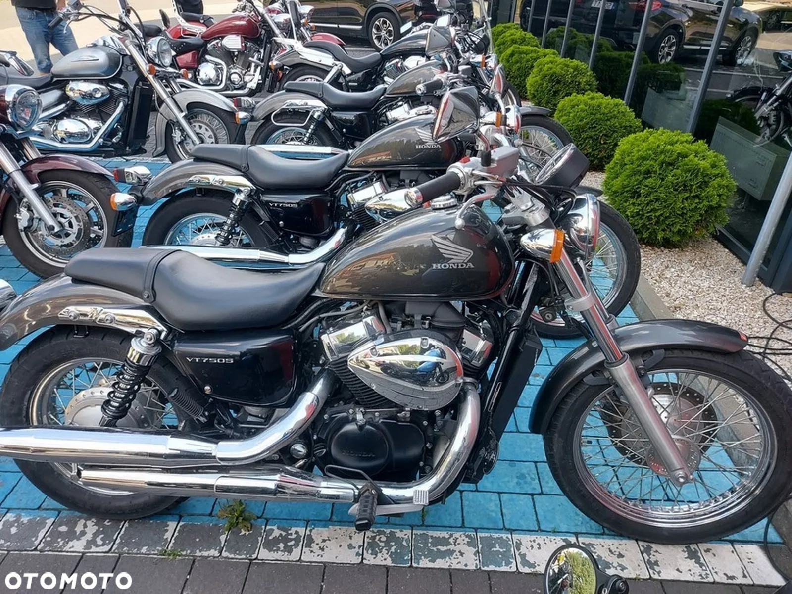 Honda Shadow - 19