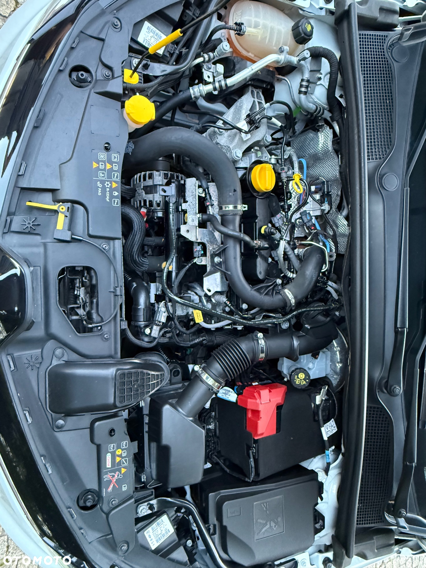 Renault Clio 1.0 TCe Intens - 29