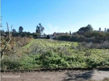 Terreno Valongo do Vouga - Grande imagem: 4/5