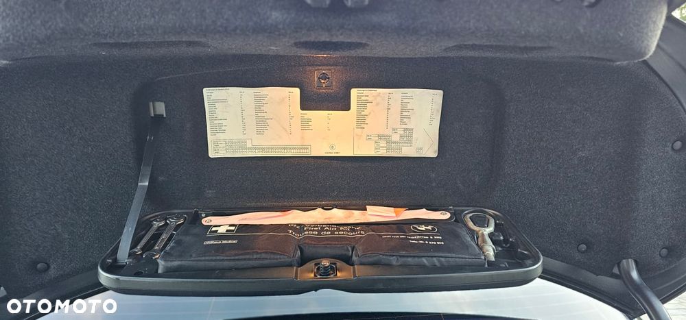 BMW Seria 5 525d - 22