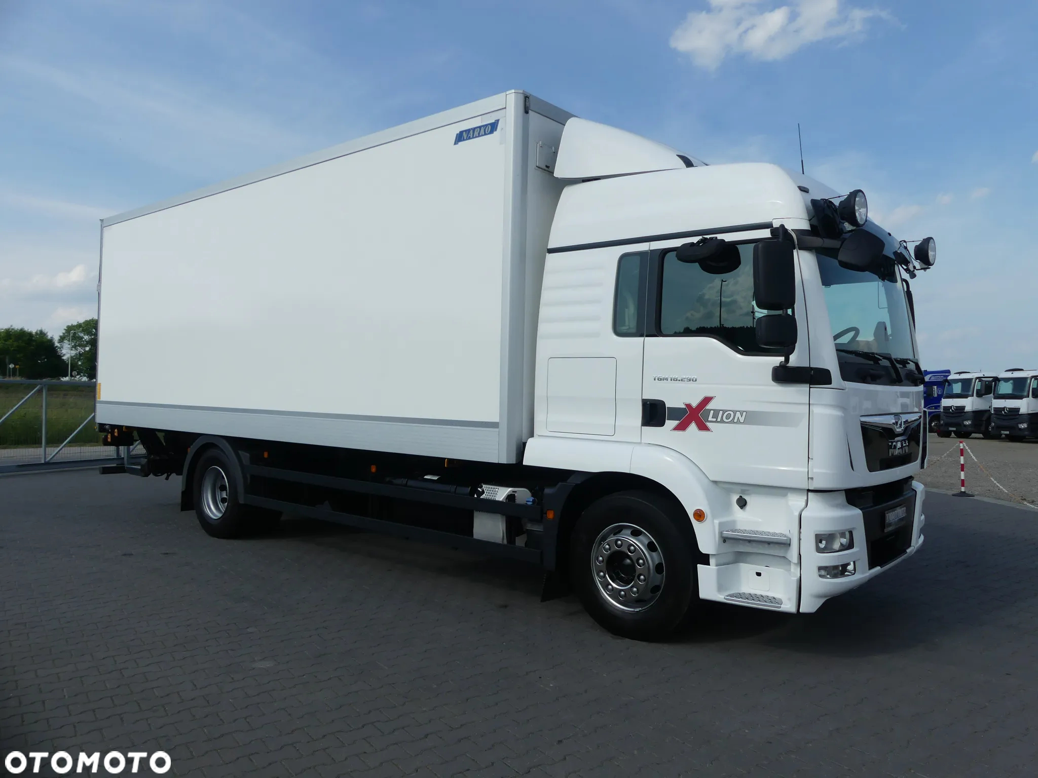 MAN TGM 18.290 / IZOTERMA + WINDA / GLOB / EURO 6 / OTWIERANY BOK / - 13