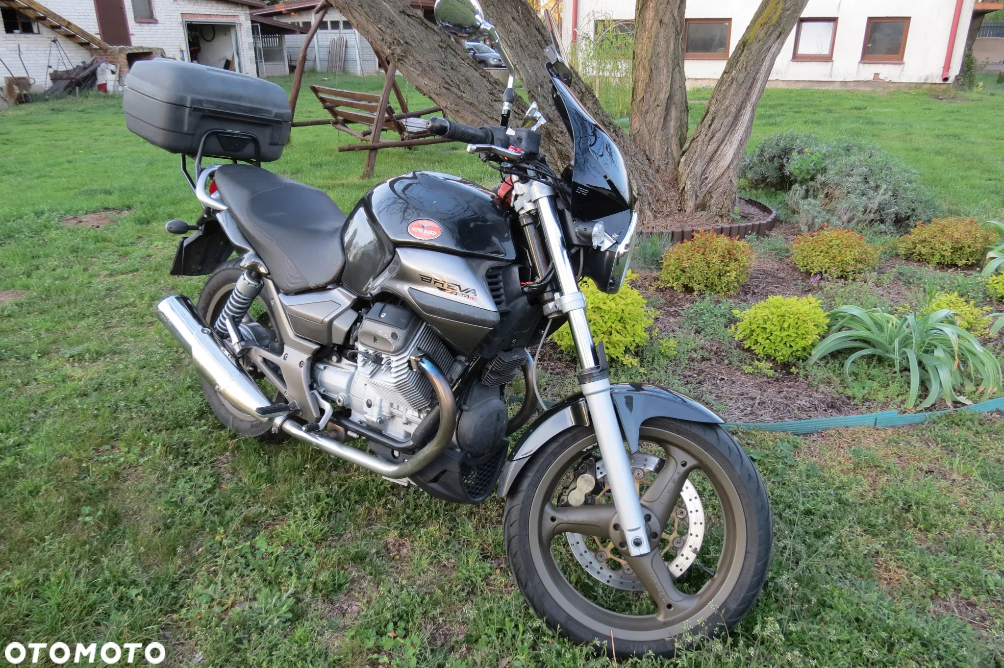 Moto Guzzi Breva - 4
