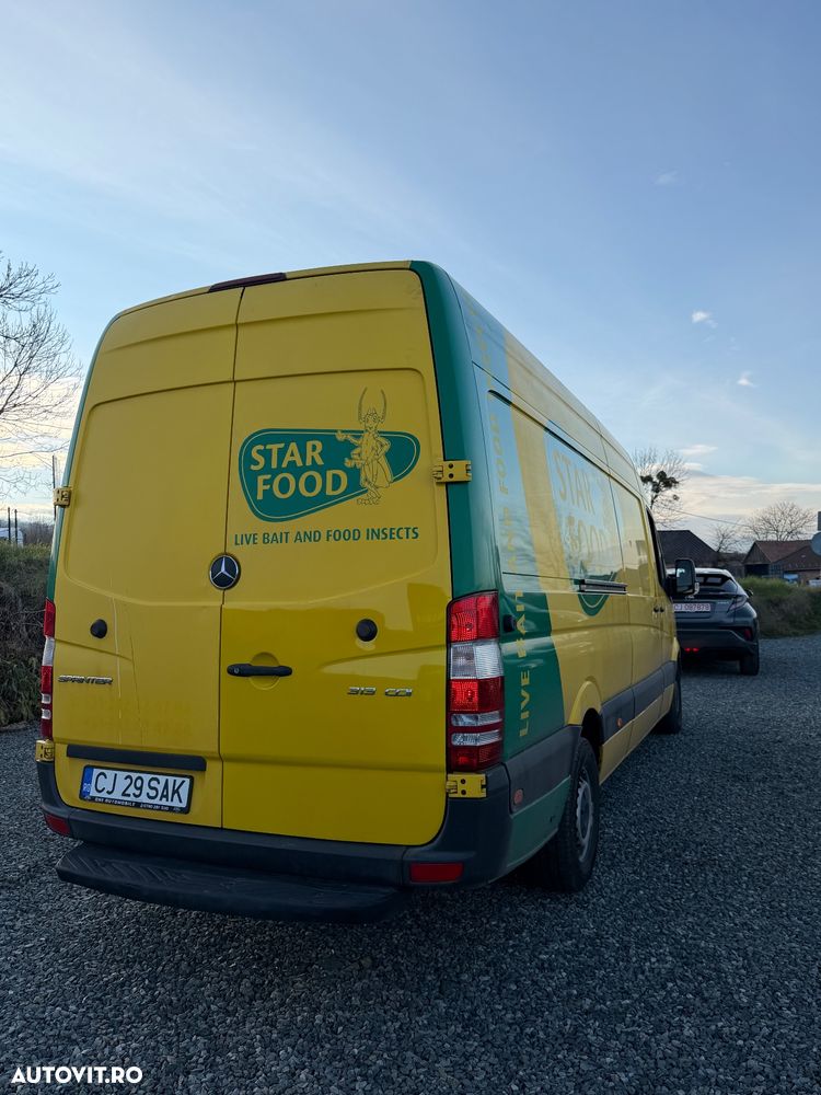 Mercedes-Benz Sprinter 313 CDI (BlueTec) 906.231 BlueEFFICIENCY - 4