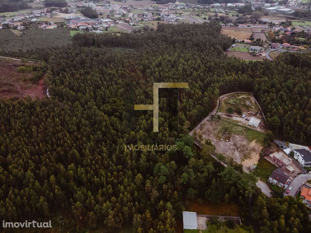 Terreno Rústico | 4.250m² em Gemunde | Oportunidade Única de Invest - Grande imagem: 2/13