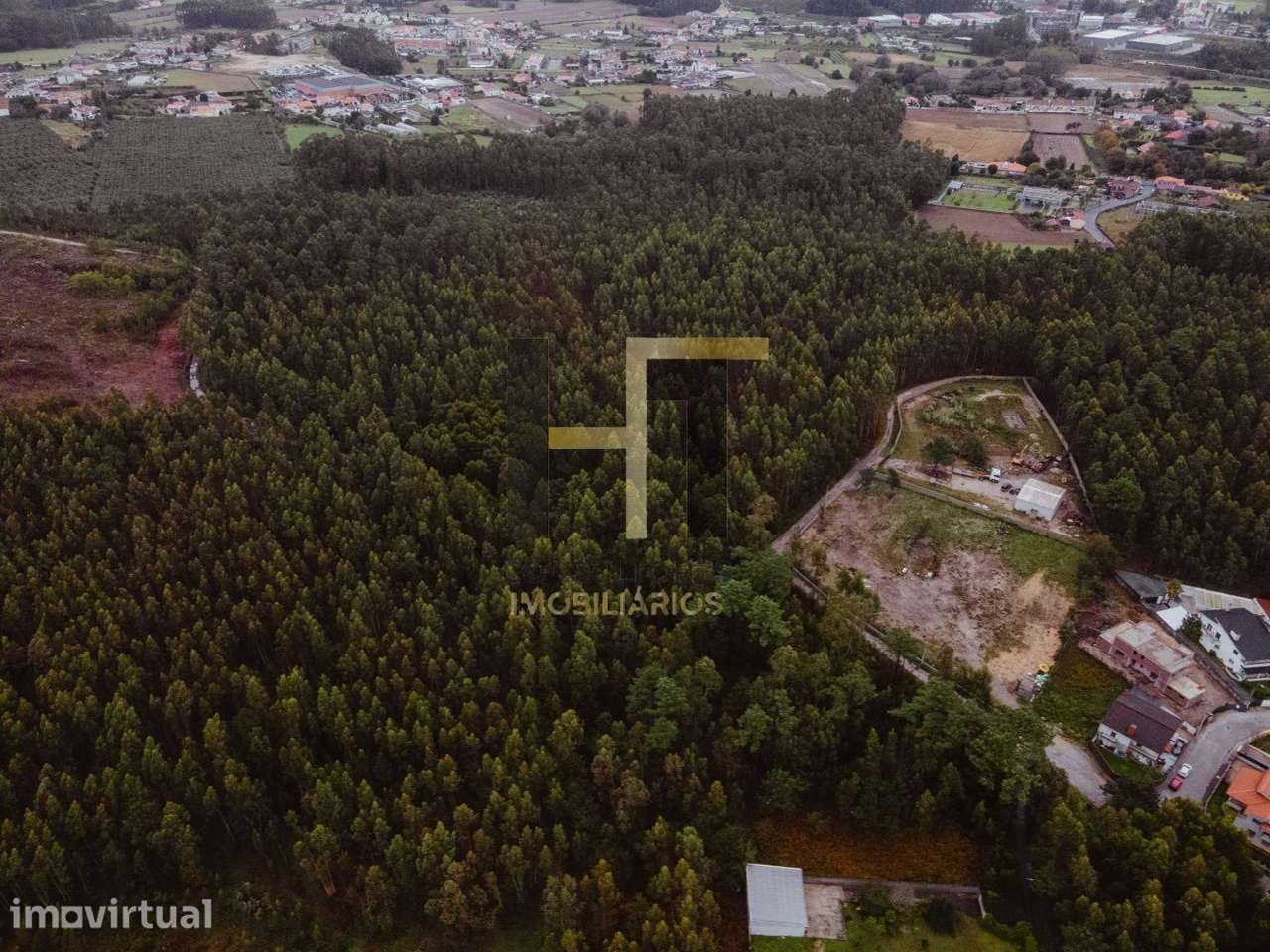 Terreno Rústico | 4.250m² em Gemunde | Oportunidade Única de Invest - Grande imagem: 2/13