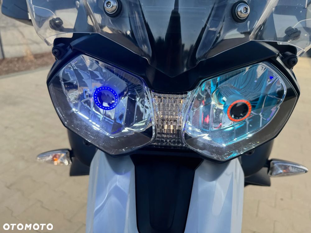 Triumph Tiger - 22