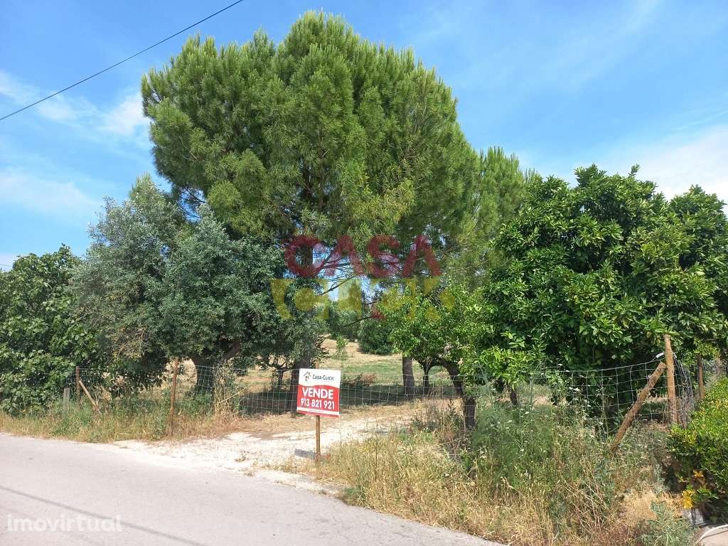 Terreno Rústico  Venda em Assentiz,Torres Novas - Grande imagem: 3/14