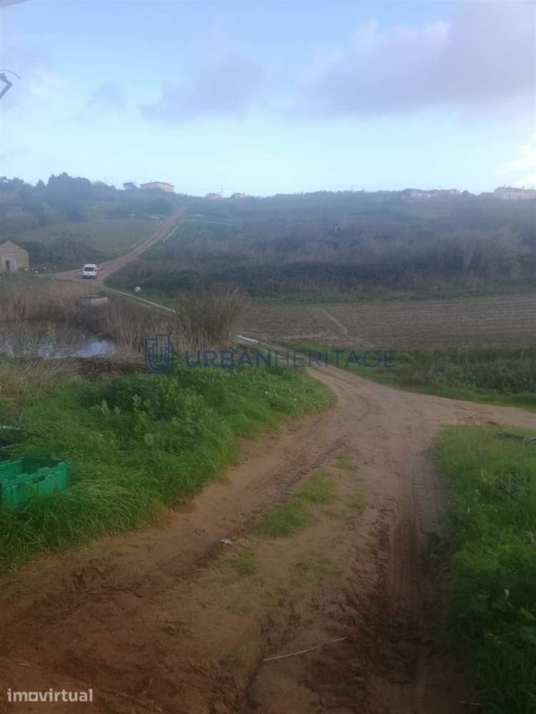 Lote de Terreno  Venda em A dos Cunhados e Maceira,Torres Vedras - Grande imagem: 4/6
