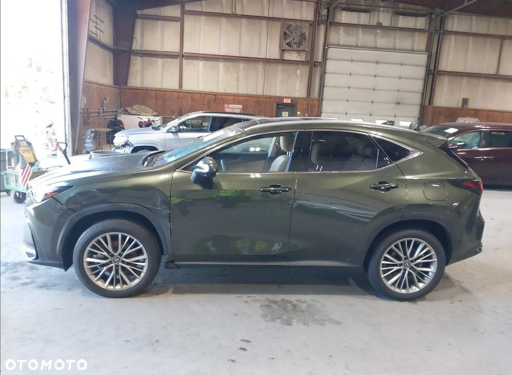 Lexus NX - 6