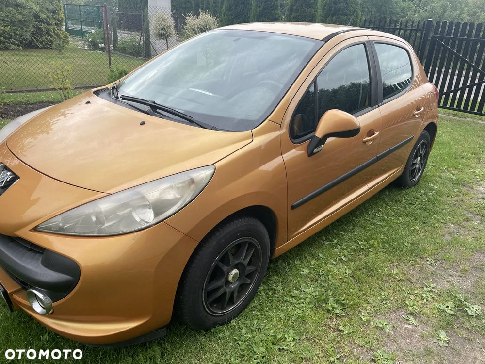 Peugeot 207 - 5