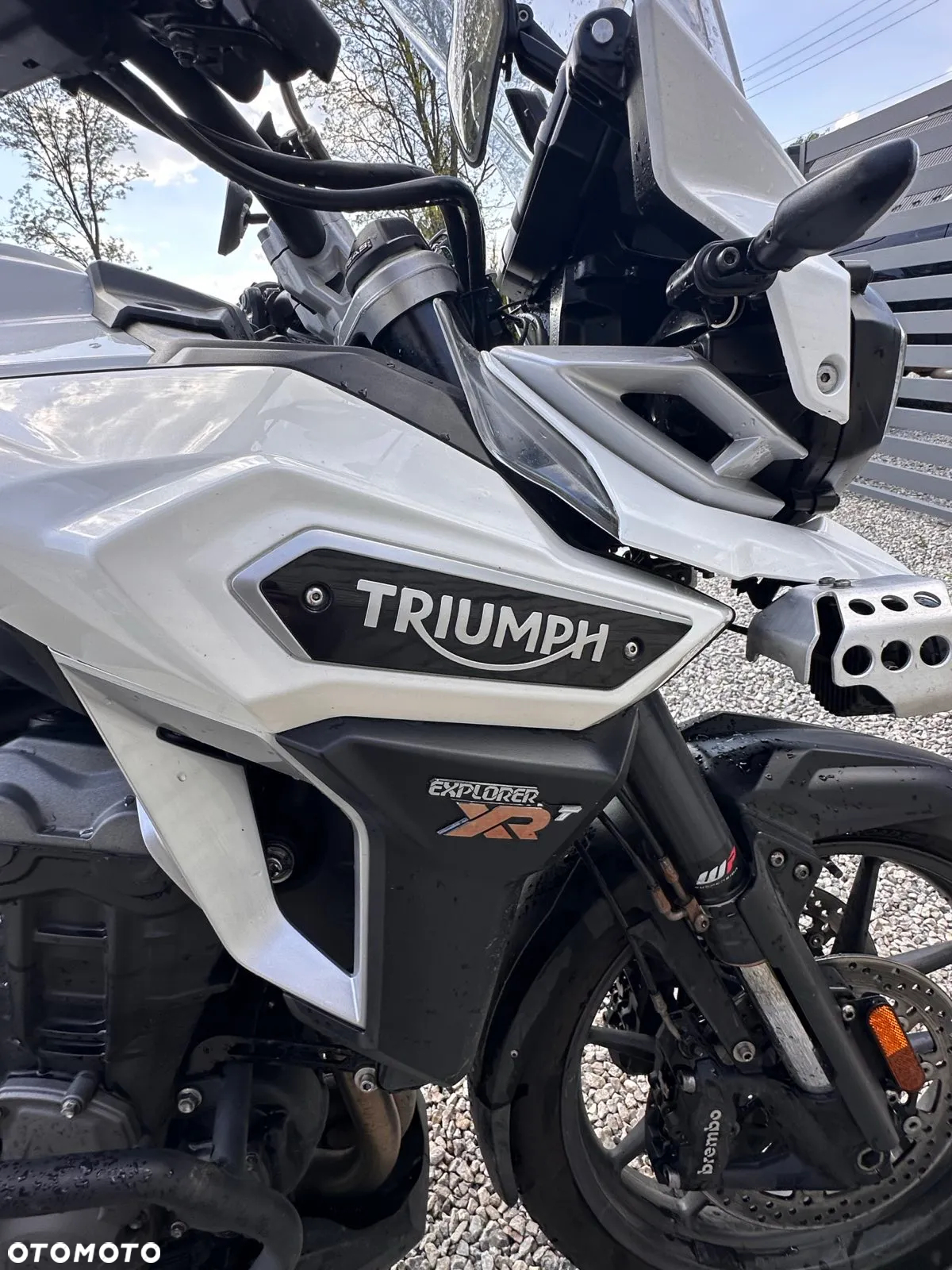 Triumph Tiger