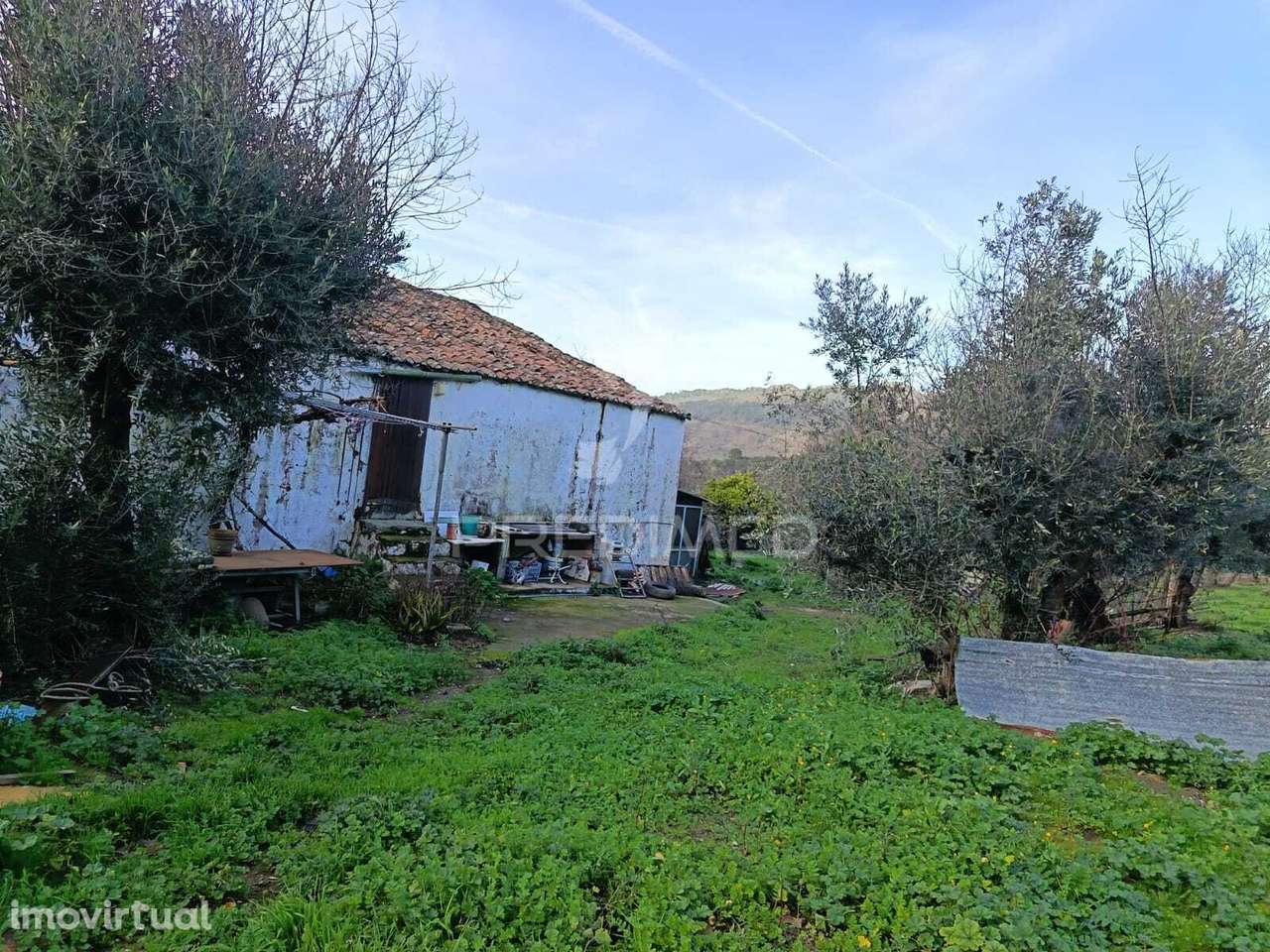 Terreno no centro das Carreiras - Grande imagem: 3/10
