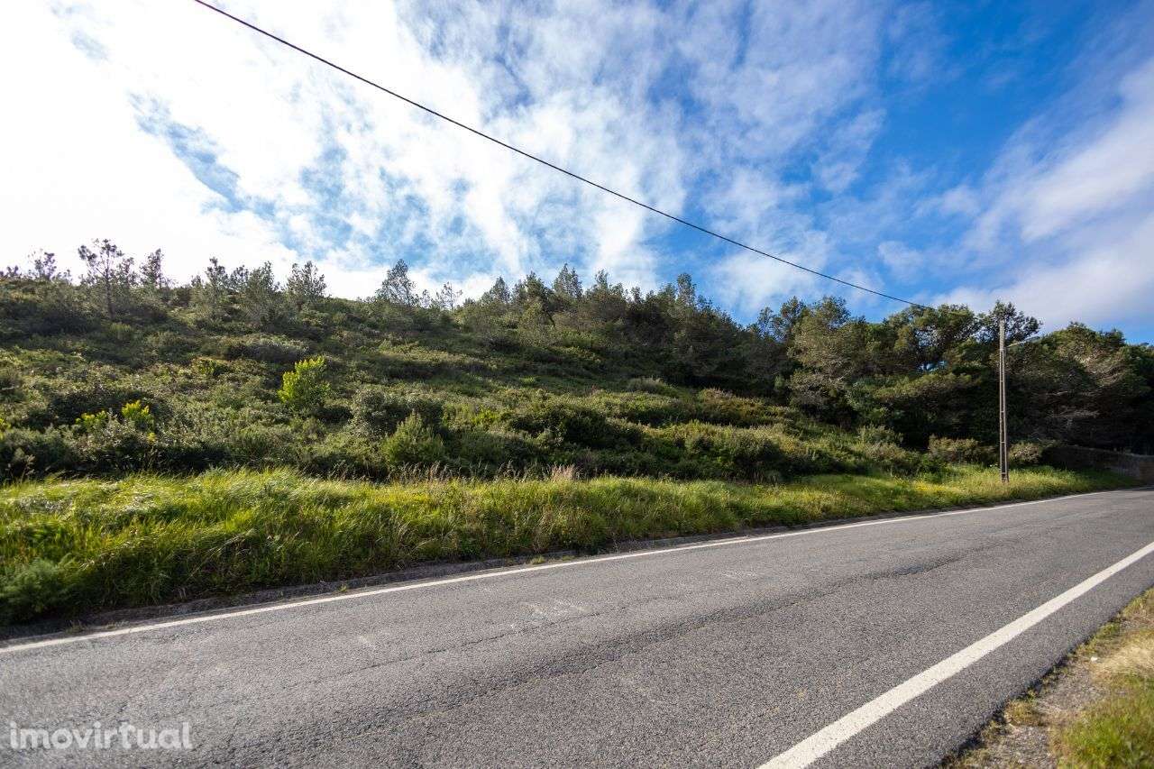 Malveira da Serra - Grande imagem: 4/4