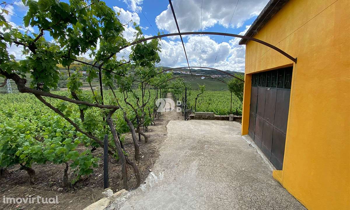 Terreno 14720m² - Barcos - Grande imagem: 4/13