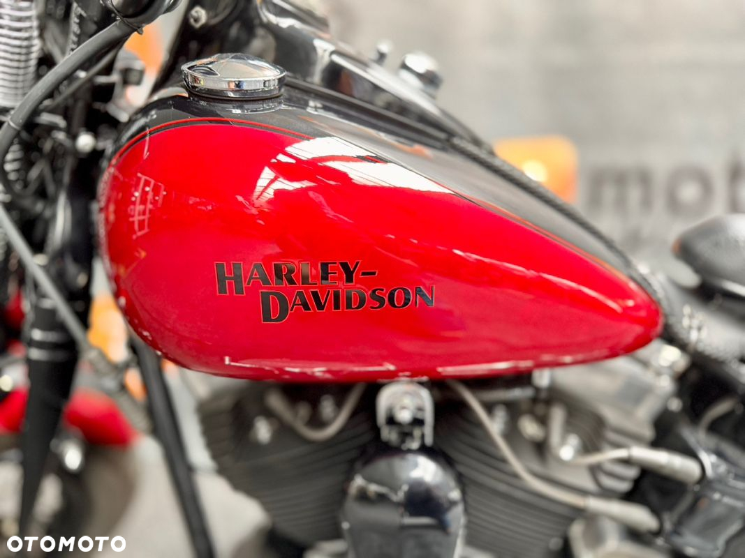 Harley-Davidson Softail Cross Bones - 10