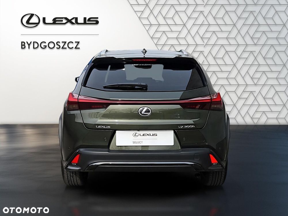 Lexus UX 300h F Sport Design - 5
