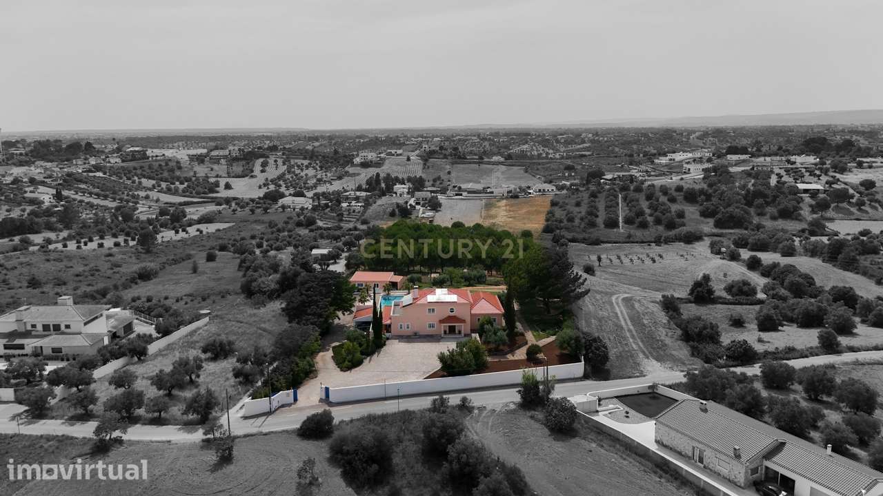 Propriedade Única com Piscina, Lago e Produção de Azeite - Grande imagem: 4/51