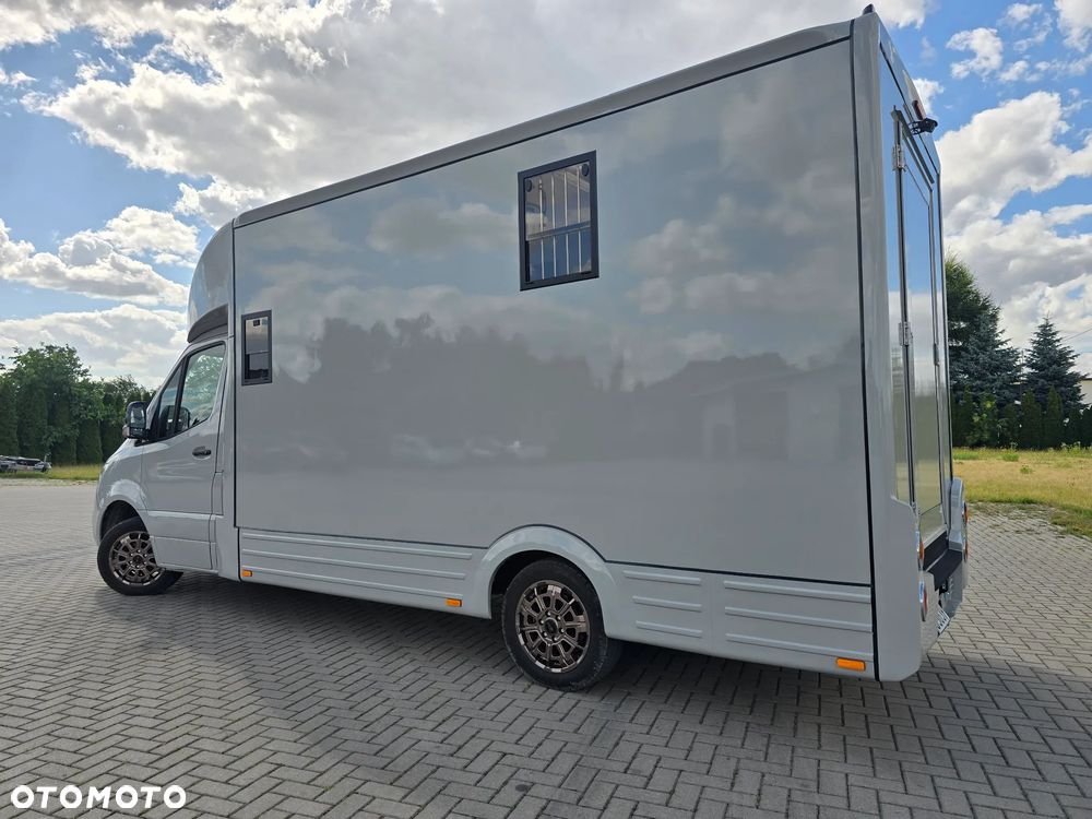 Mercedes-Benz Koniowóz-Sprinter - 10