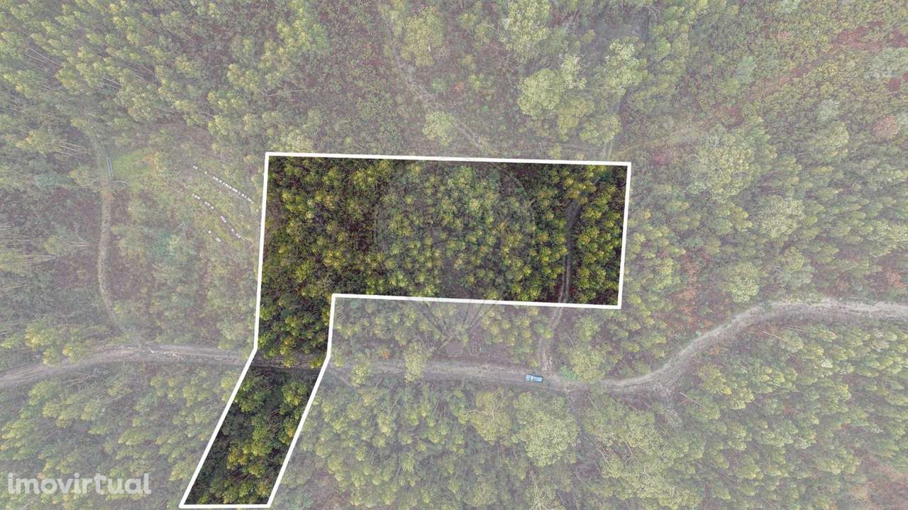Terreno  para venda - Grande imagem: 2/19