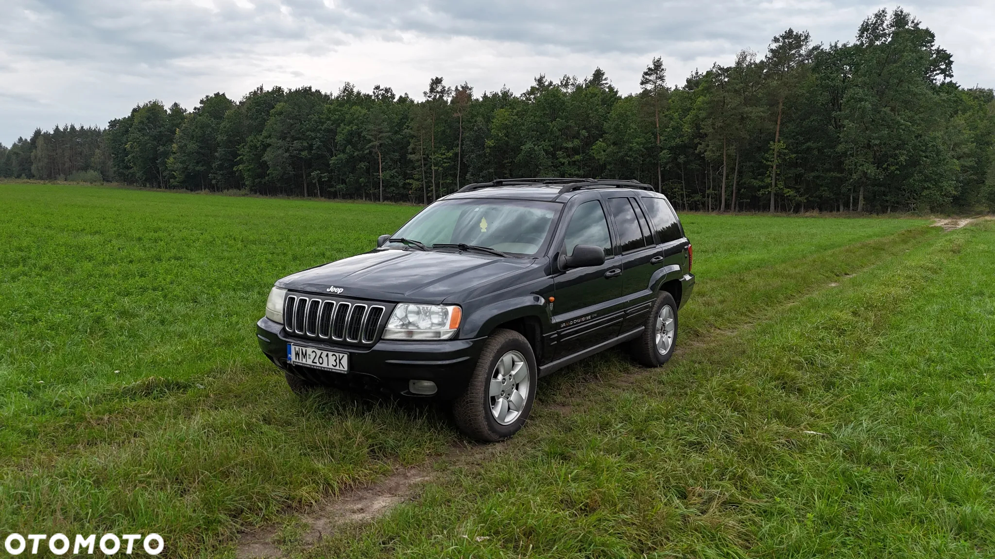 Jeep Grand Cherokee 4.7 Limited - 3