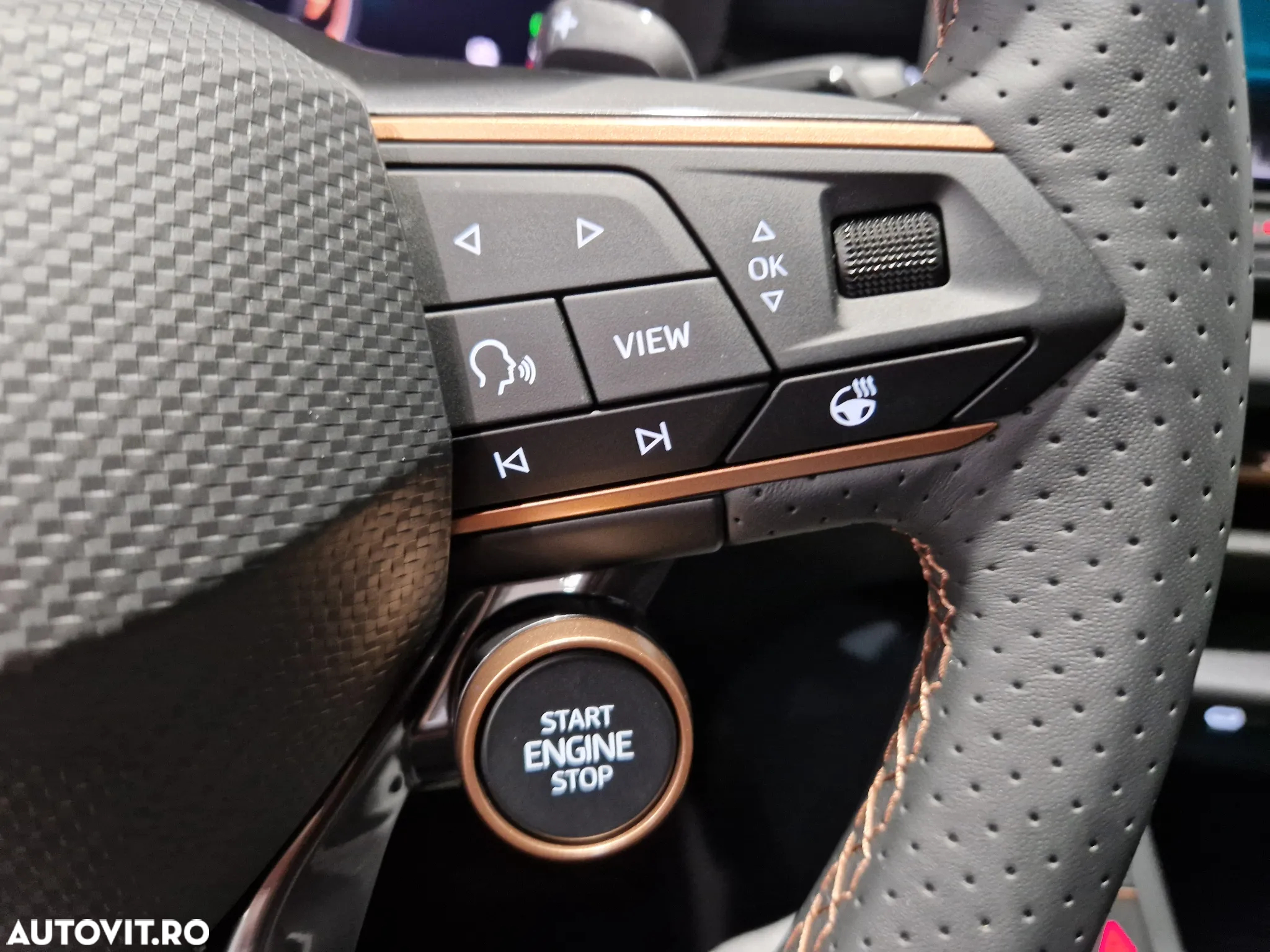 Cupra Terramar - 20
