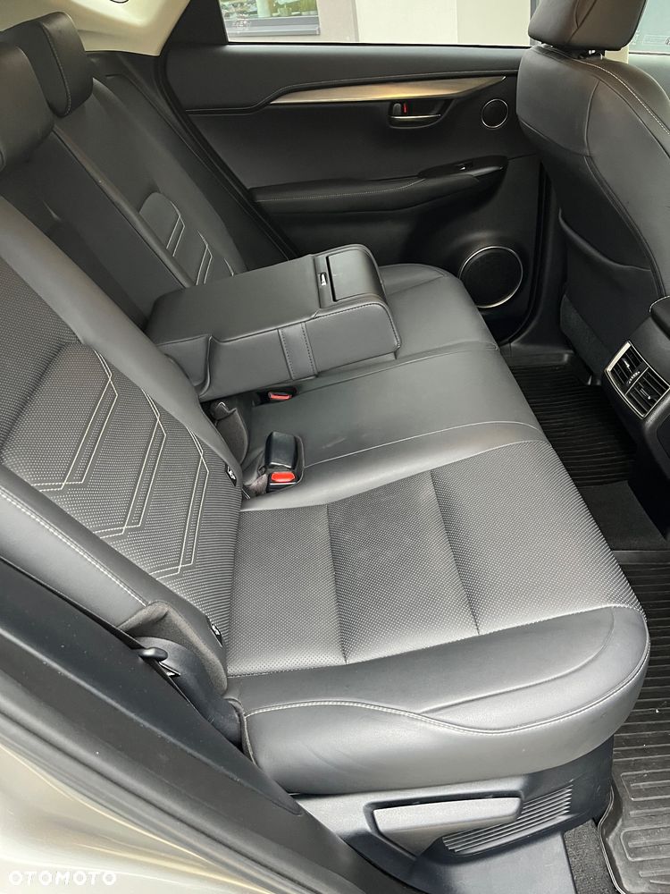 Lexus NX 300h F Sport Edition AWD - 11