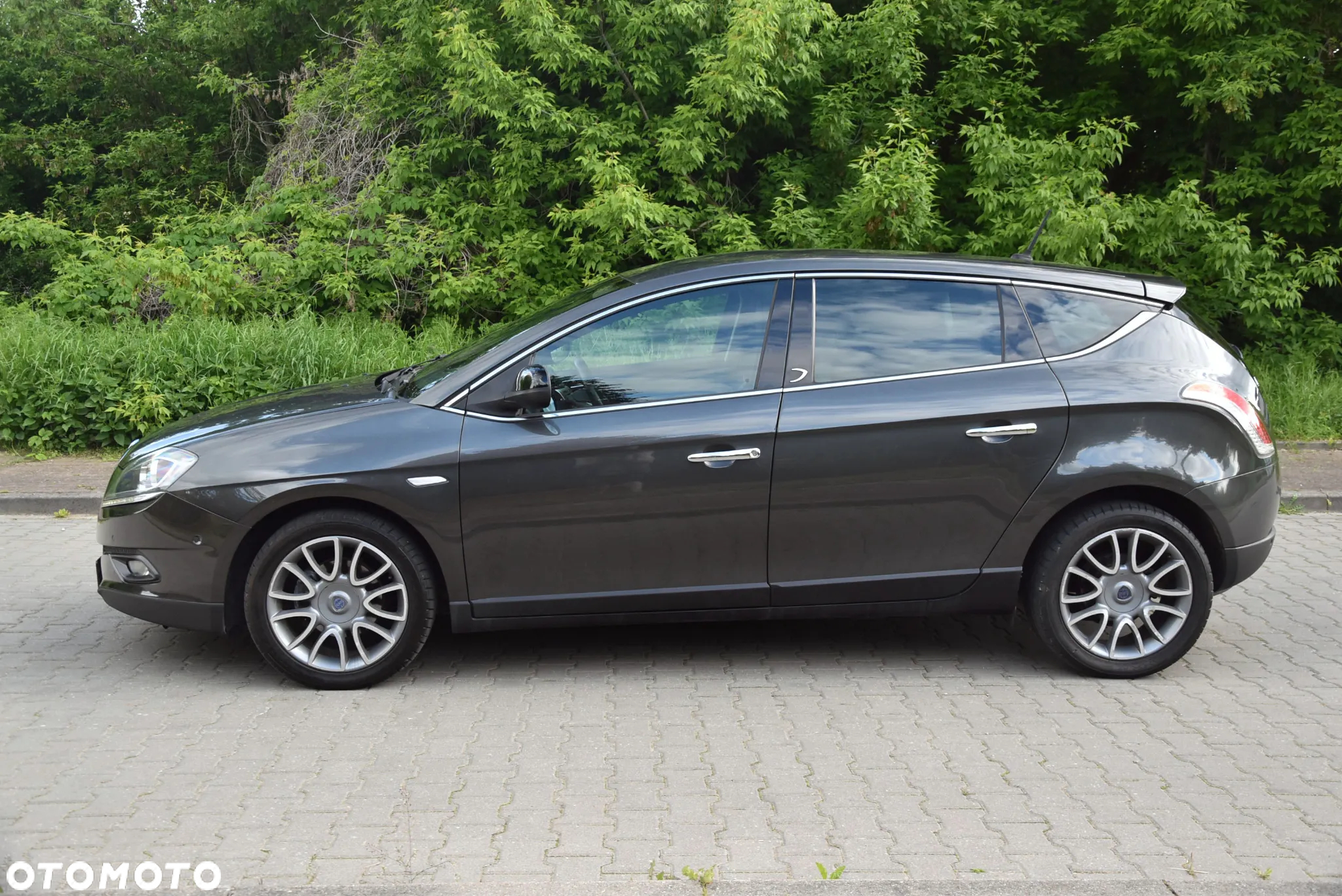Lancia Delta 1.6 MJ Platino - 6