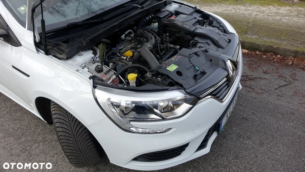 Renault Megane - 39
