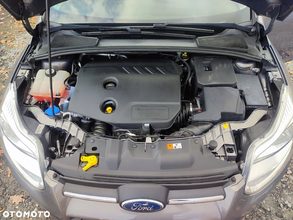 Ford Focus - 14