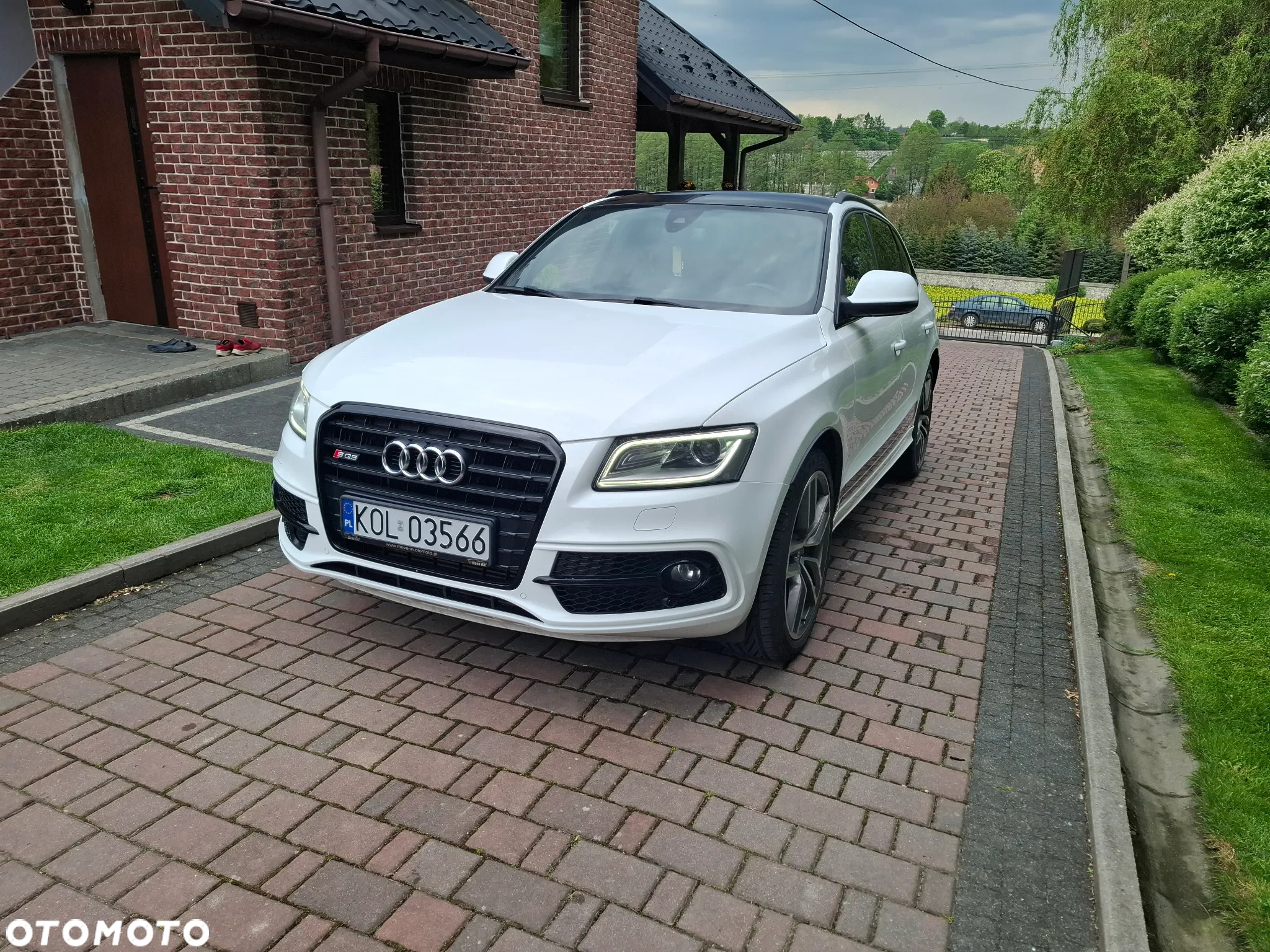 Audi SQ5 3.0 TDI Quattro Tiptronic EU6 - 2