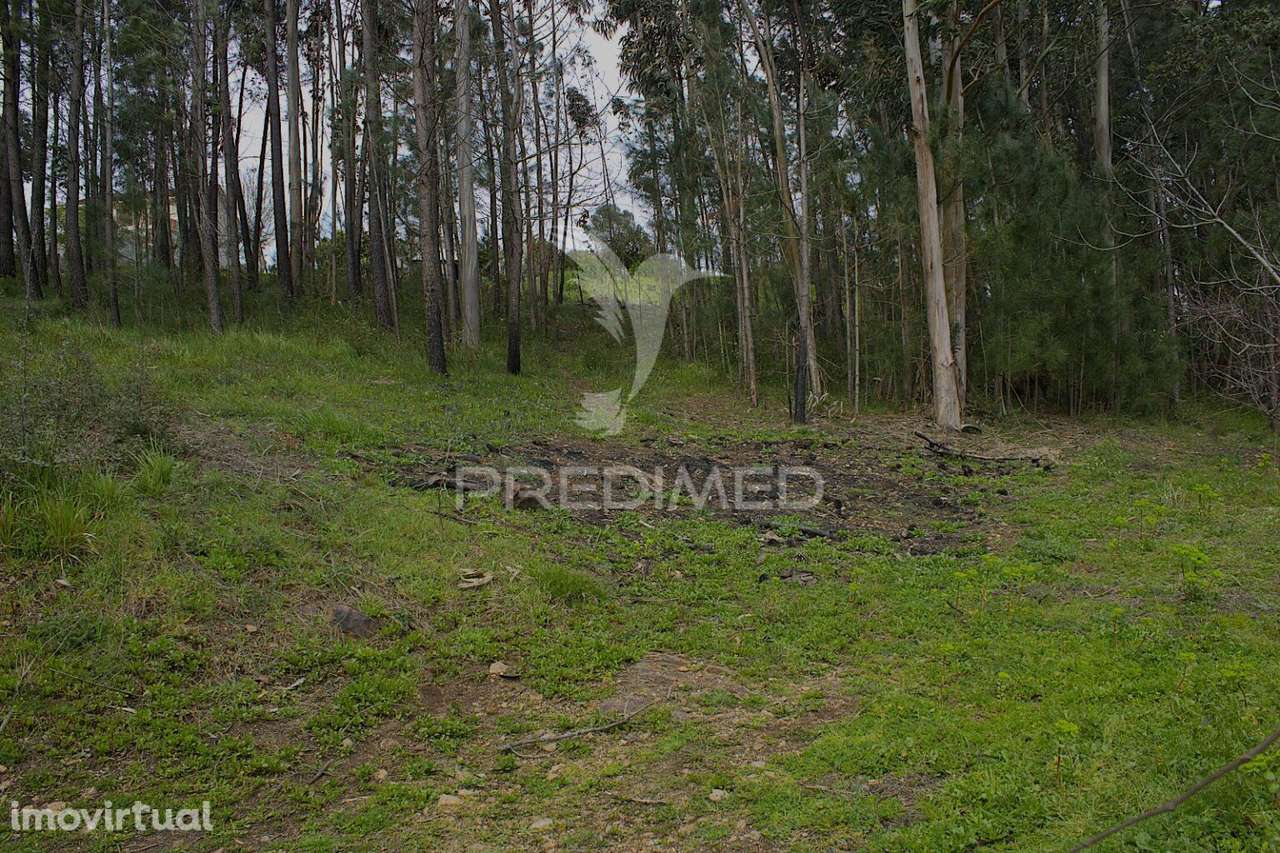 TERRENO URBANO NA ZONA DO FORCADO, TELÕES, AMARANTE, PORTO - Grande imagem: 3/5