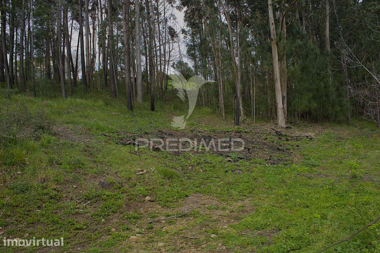 TERRENO URBANO NA ZONA DO FORCADO, TELÕES, AMARANTE, PORTO - Grande imagem: 3/5