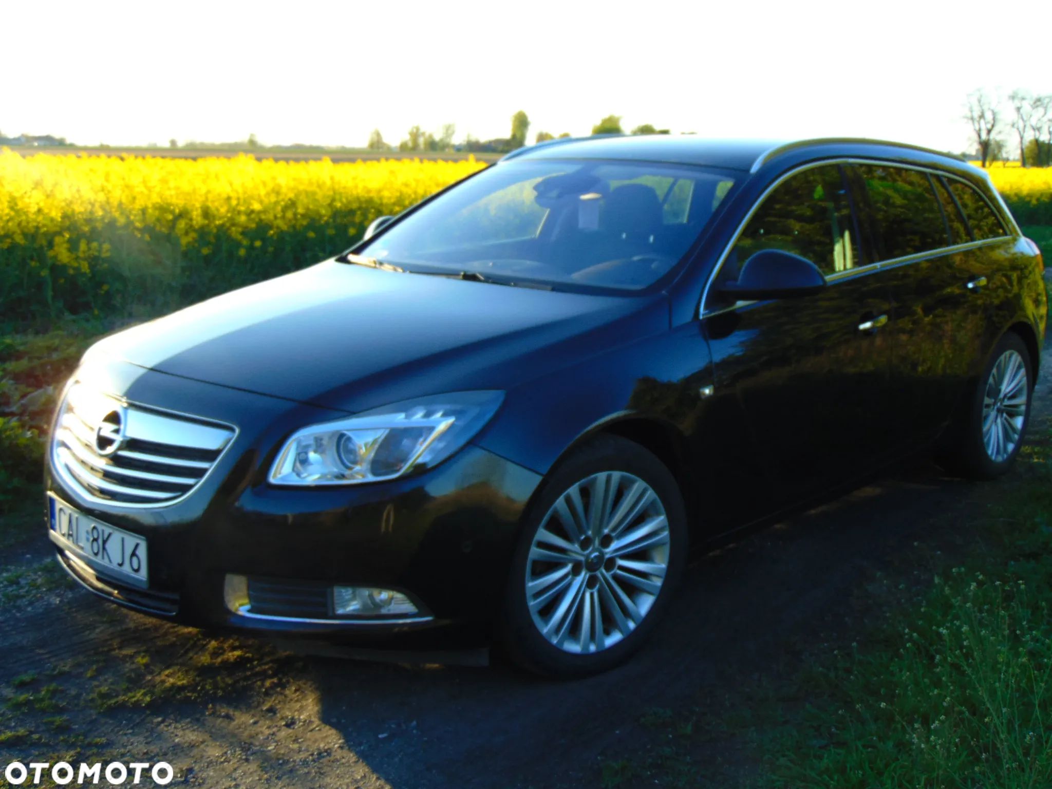 Opel Insignia 2.0 CDTI Sports Tourer ecoFLEX Cosmo - 1