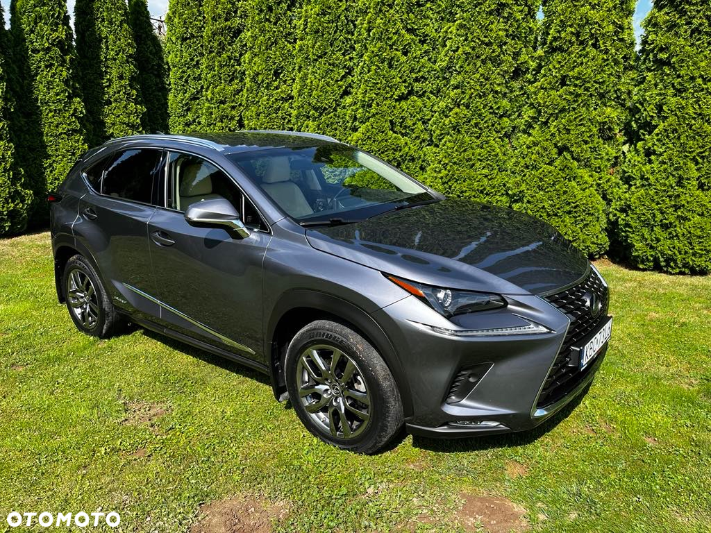 Lexus NX 300 Elegance AWD - 5