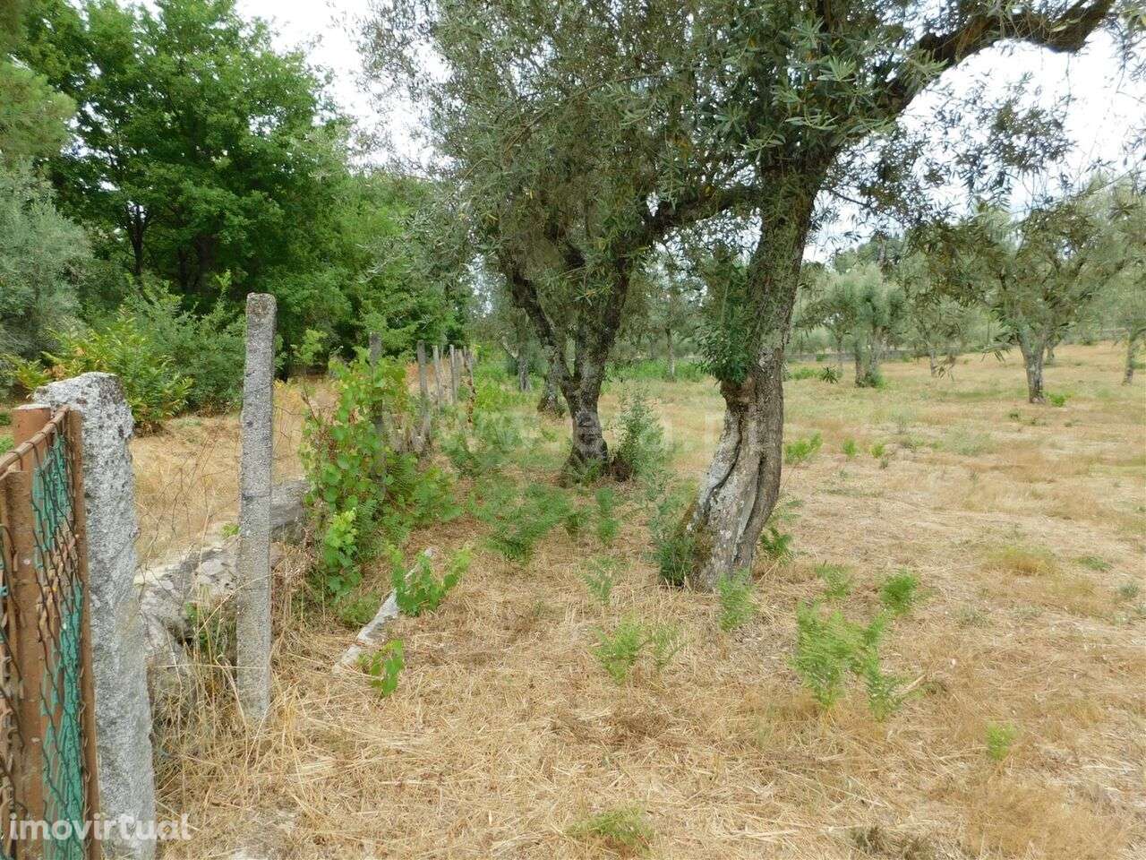 Terreno / Seia, Seia, São Romão e Lapa dos Dinheiros - Grande imagem: 5/12