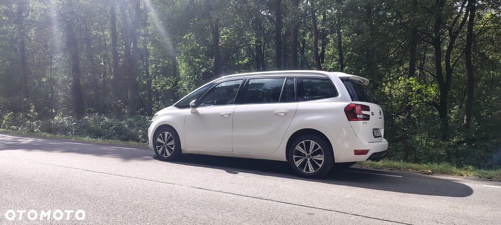 Citroën C4 Picasso 2.0 BlueHDi MoreLife S&S - 19