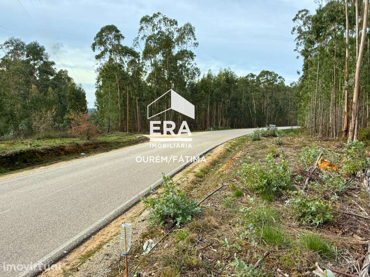 Terreno junto da zona industrial Caxarias - Grande imagem: 3/17