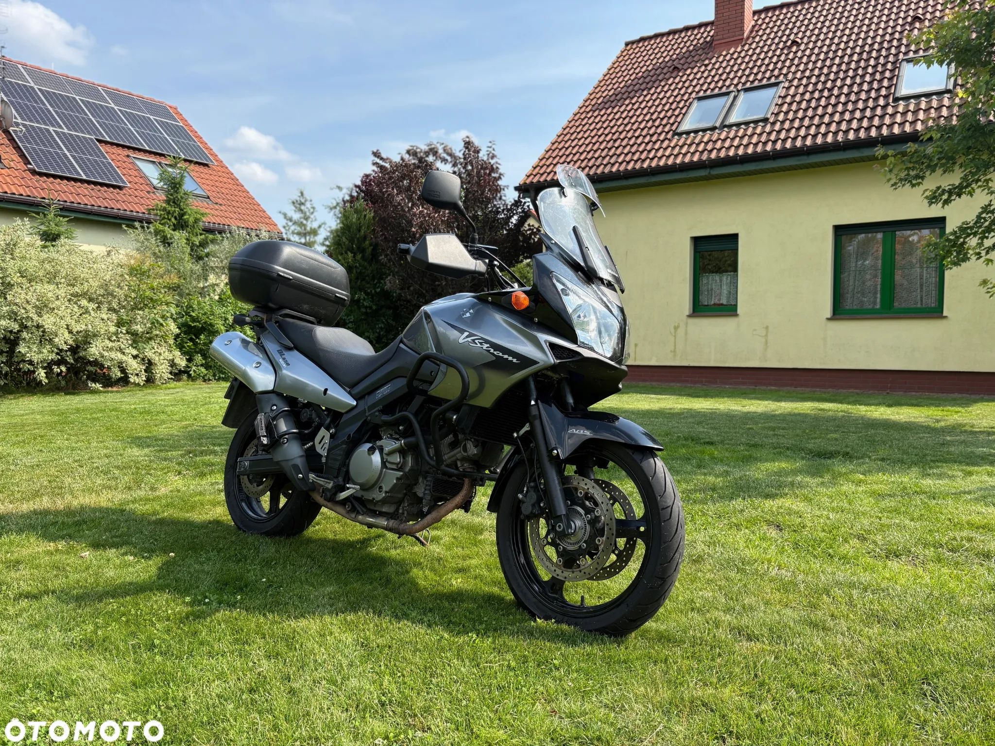 Suzuki DL